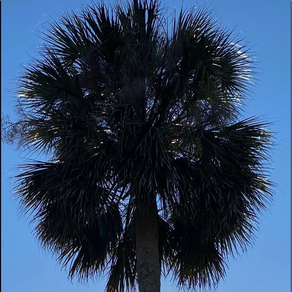 Meet your Posher, Ashley - Picture 2 of 7